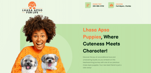 Screenshot 2025-01-03 at 11-39-56 Fort Myers Puppies For Sale – Lhasa Aapso 4 life